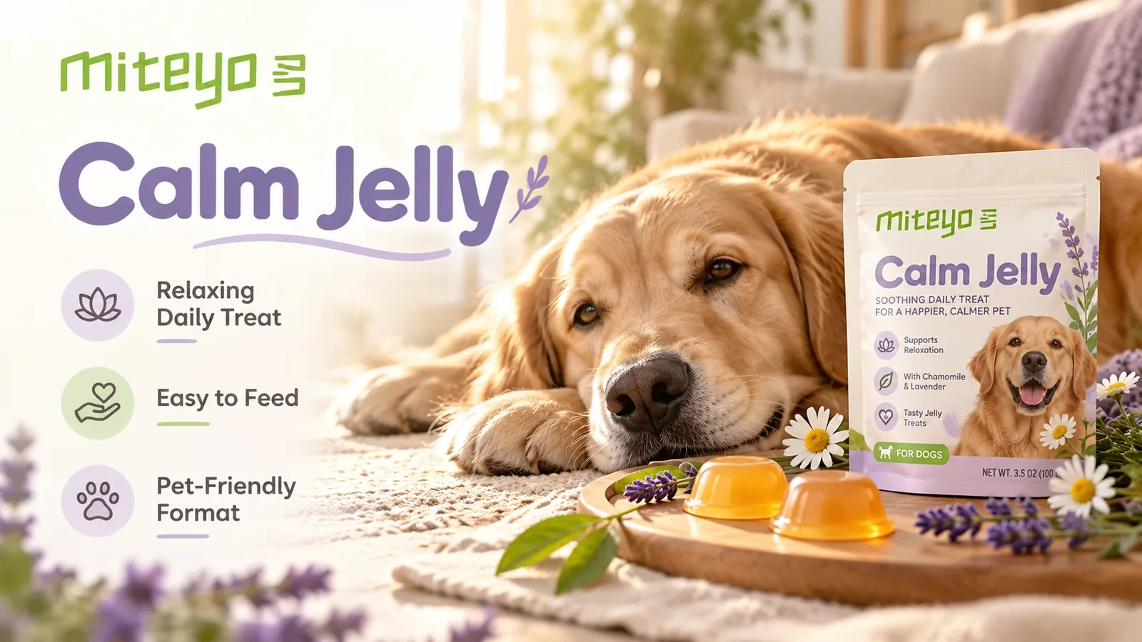 Calm Jelly packaging presentation
